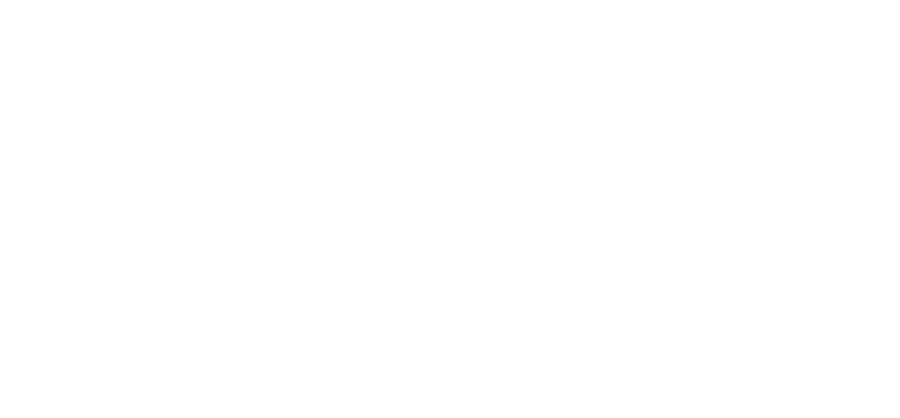 RedRoute International